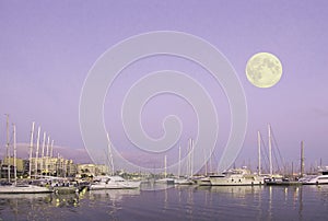 Palma marina boats moored