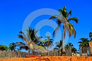 Palmarin, in the heart of Sine Saloum delta in Senegal photo