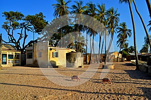 Palmarin village, Sine-Saloum delta, Senegal photo