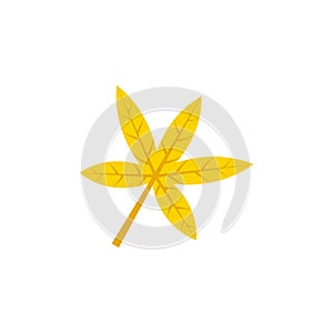Palmatisect maple leaf flat icon photo