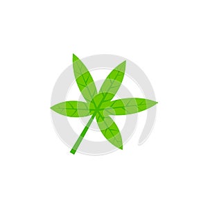 Palmatisect maple leaf flat icon photo