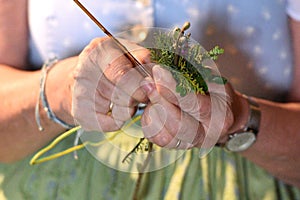Palmbuschen - sticks decorated with various twigs, catkins, crÃÂªpe paper photo