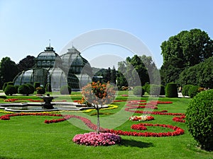Palmenhaus
