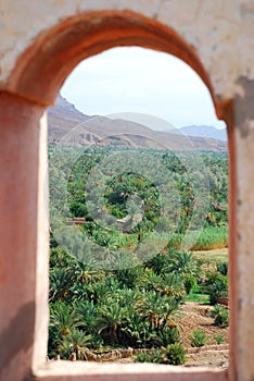 Palmeraie. Agdz, Souss-Massa-DraÃ¢, Morocco