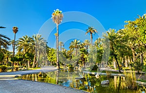 Palmeral of Elche, Spain. UNESCO heritage site