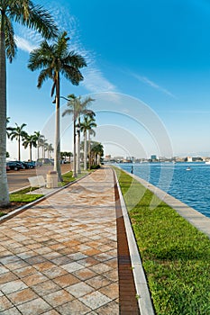 Palmetto trees line the walkway next to the Manatee River