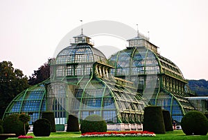 Palmhouse