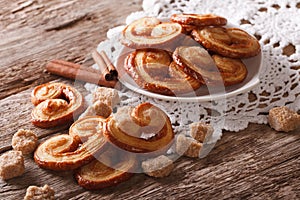 Palmiers biscuits with sugar and cinnamon close-up, horizontal photo