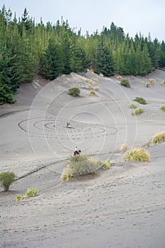 Palmira desert with natural art