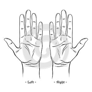 Palmistry or Chiromancy Chart Blank Template Isolated on white background.