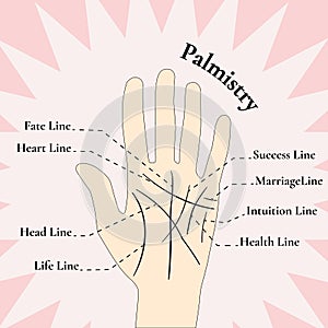 Palmistry. Guessing on the hand. The lines on the hand.