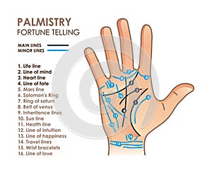 Palmistry. Hand with main and secondary lines and symbols
