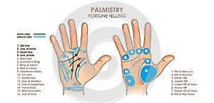 Palmistry. Hand with main and secondary lines and symbols. Mystical hand reading