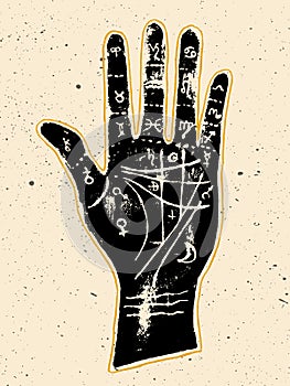 Palmistry hand on a white background