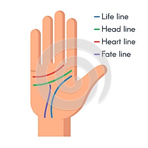 Palmistry Human hand