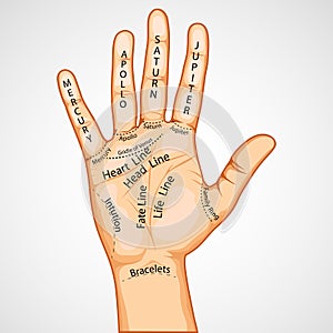 Palmistry Map