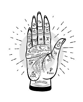 Palmistry Mystic Hand. Vector graphic hand illustration with mystic and occult symbols