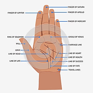 Palmistry. Open hand lines and symbols mystical reading illustration