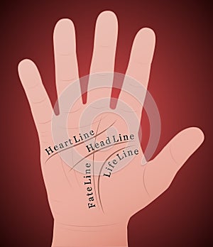 Palmistry Right Hand Main Lines