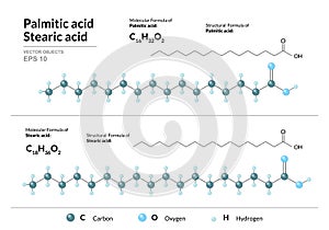 Palmitic and Stearic acids. Hexadecenoic and Octadecanoic Acids. Structural chemical formula and molecule 3d model