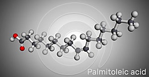 Palmitoleic acid, palmitoleate molecule. It is an omega-7 monounsaturated fatty acid. Molecular model photo