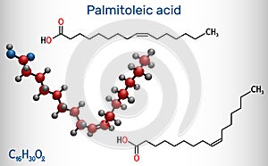 Palmitoleic acid, palmitoleate molecule. It is an omega-7 monounsaturated fatty acid. Structural chemical formula on the dark blue photo