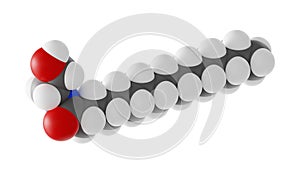 palmitoylethanolamide molecule, hydroxyethylpalmitamide molecular structure, isolated 3d model van der Waals