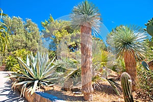 Palmizana on Pakleni Otoci islands mediterranean botanical garden view