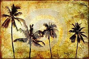 Palms