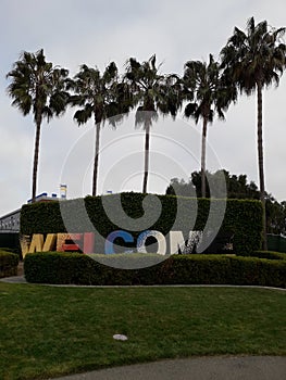 Palms upon arrival at San Diego Legoland