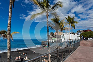 Palms  at beach with black lava sand at Puerto Naos in La Palma Island, Canary Island, Spain