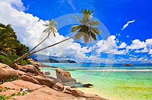 Palms on beach at island La Digue, Seychelles