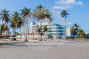 Palms on a beach in Joao Pessoa, Braz