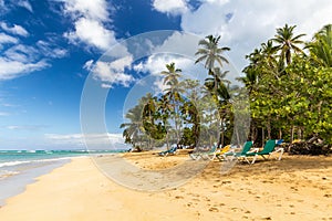 Palms on a beach in Las Terrenas, Dominican Republ