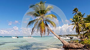 The Palms on the beach at Saona island in the Dominican Republic