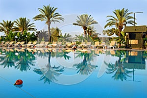 Palms and chairs by swimming pool