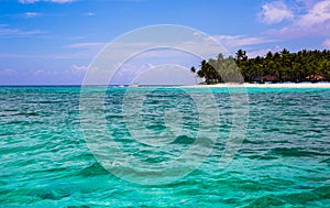 Palms coastline on caribbean beach, Island Saona