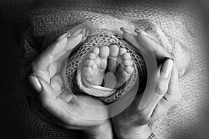 The palms of the father, the mother are holding the foot of the newborn baby. Feet of baby on the palms of the parents.