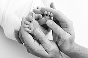 The palms of the father, the mother are holding the foot of the newborn baby on white background.