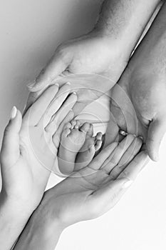 The palms of the father, the mother are holding the foot of the newborn baby on white background.