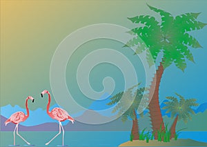 Palms and flamingo