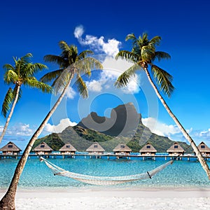 Palms with hammock and ocean. Bora-Bora. Polynesia