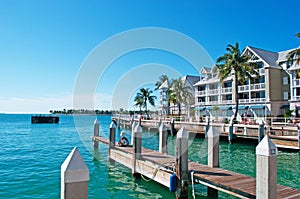 Palms, houses, pier, Key West, Keys, Cayo Hueso, Monroe County, island, Florida