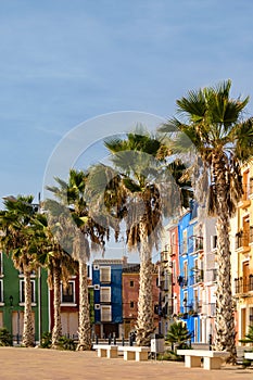 Palms and multicolored houses, Villajoyosa, Spain