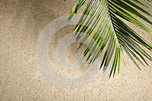 Palms of the Palm Sunday on the sand background