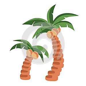 Island palms, palmtree. coconut tree holiday on white isolaited background