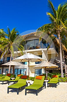 Palms parasols sun loungers beach resort Playa del Carmen Mexico