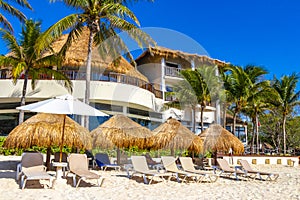 Palms parasols sun loungers beach resort Playa del Carmen Mexico