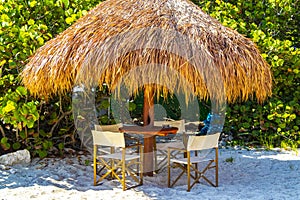 Palms parasols sun loungers beach resort Playa del Carmen Mexico