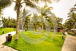 palms park by beach green lawn stony paths park-lamps litter bin